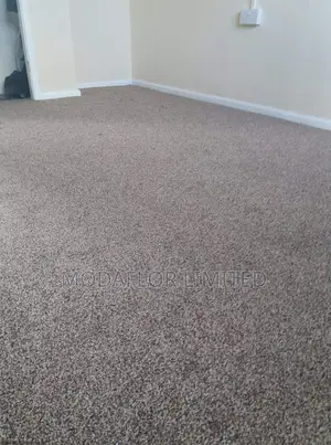 "Elevate Every Step!" With Wall to Wall Carpets