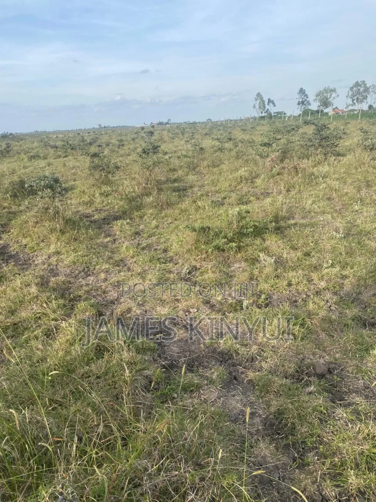 One Acre Land