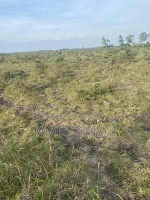 One Acre Land