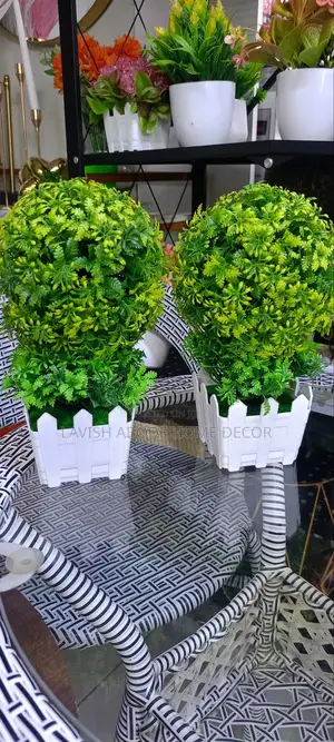 Beautiful Bonsai Canopy Flowers for Decor