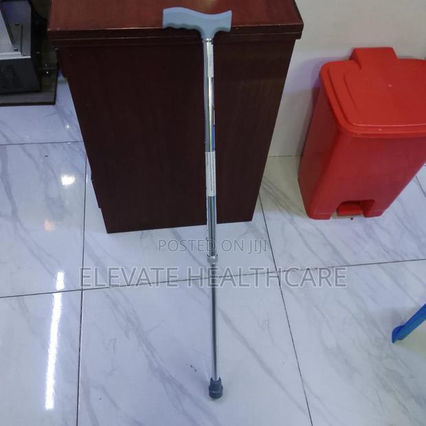 Walking Stick - main view