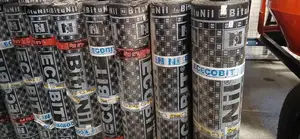 App Membrane With Minerals Finish.