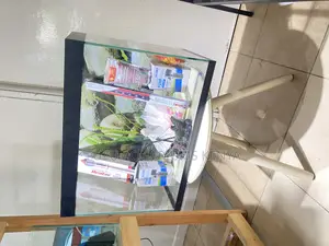Elegant 2 Feet Aquarium for Stylish Spaces
