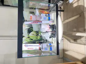 Affordable Aquarium Deals in Nairobi