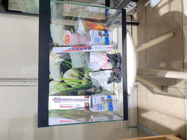 Affordable Aquarium Deals in Nairobi - main view