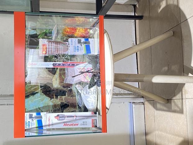 Crystal Clear 60 Litres Aquarium Now Available - main view