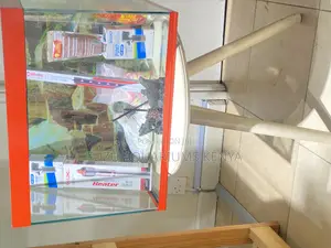 Complete Aquarium Kit – 2ft of Aquatic Joy