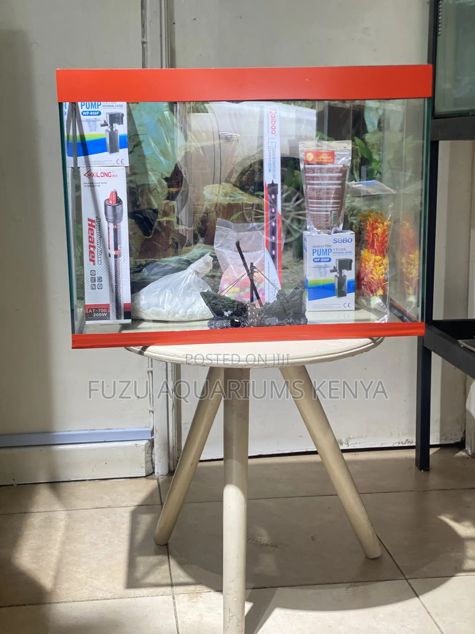 Eye-Catching Aquarium for Homes and Offices