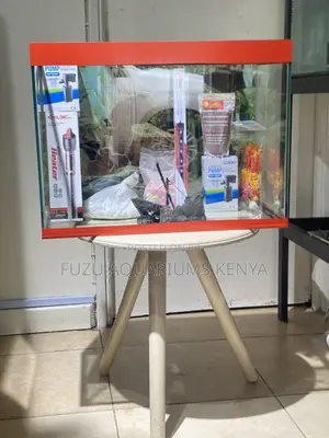Nairobi’S Finest Aquarium for Your Fish Family