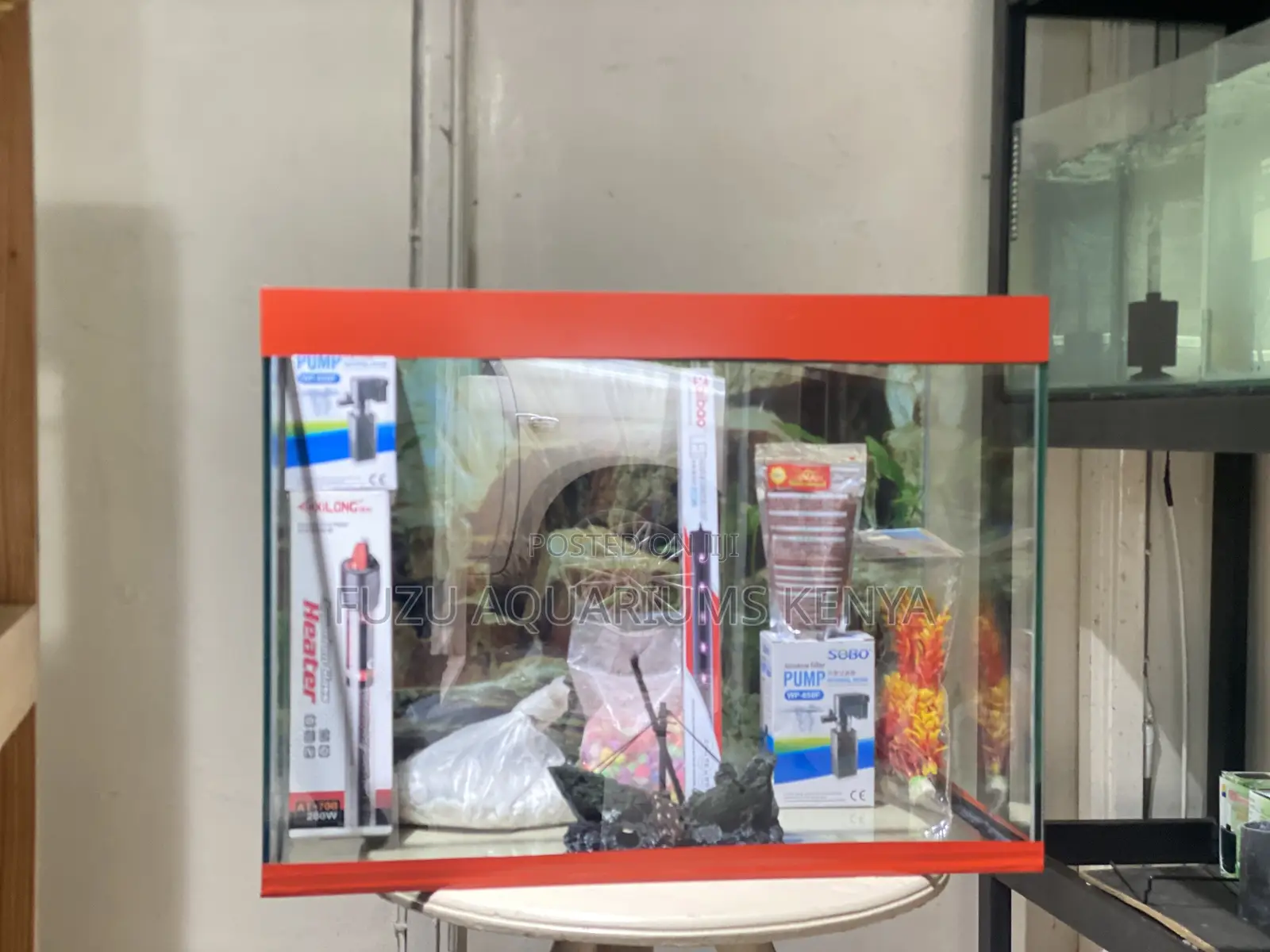 Chic 2ft Aquarium – Ready to Beautify Your Space