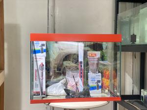 Chic 2ft Aquarium – Ready to Beautify Your Space - thumbnail 2