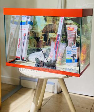 Sleek Aquarium Design for Modern Living - thumbnail 2