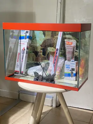 Nairobi Aquarium Deals You’Ll Love
