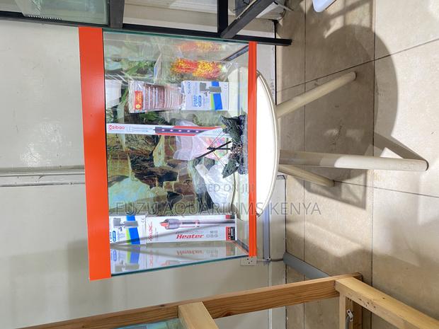 Durable 2ft Aquarium – Built to Last - main view