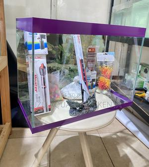 Turn Heads With This Stunning Aquarium - thumbnail 2