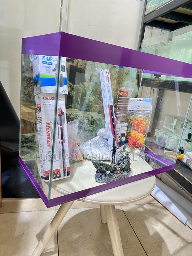 Complete 2ft Aquarium – Just Add Fish! - main view