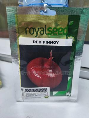 Onion Red Pinnoy 10gms - main view