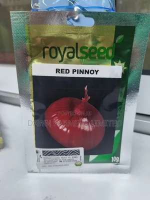 Onion Red Pinnoy 10gms