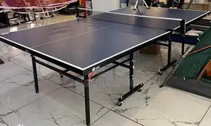 Pro Quality Unique Table Tennis