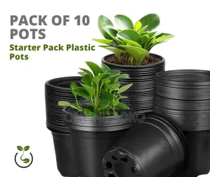 Seedling Planting Trays, Pots/Planters, Bio-degradable Bags