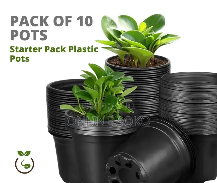 Seedling Planting Trays, Pots/Planters, Bio-degradable Bags