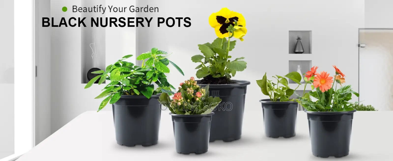 Seedling Planting Trays, Pots/Planters, Bio-degradable Bags
