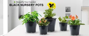 Seedling Planting Trays, Pots/Planters, Bio-degradable Bags
