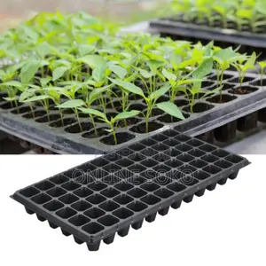 Seedling Planting Trays, Pots/Planters, Bio-degradable Bags