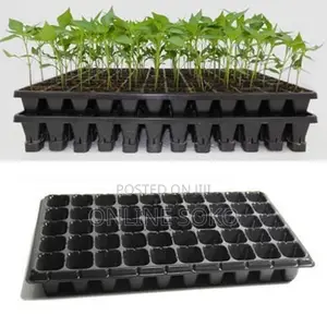 Seedling Planting Trays, Pots/Planters, Bio-degradable Bags