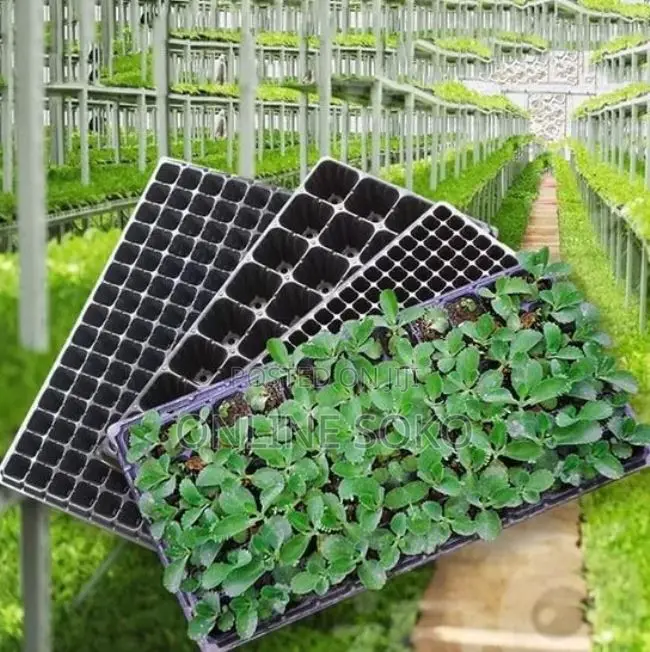 Seedling Planting Trays, Pots/Planters, Bio-degradable Bags