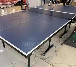 Game Changing Table Tennis Best