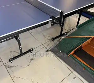 Game Changing Table Tennis Best