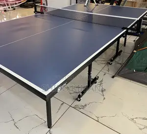Game Changing Table Tennis Best