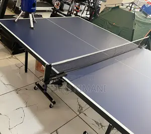 Grand Precious Table Tennis