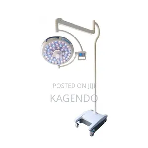 Portable Thetre Light