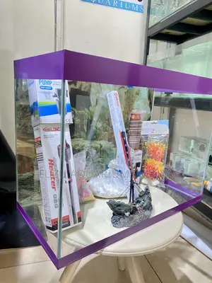 Aquarium Perfection Starts Here