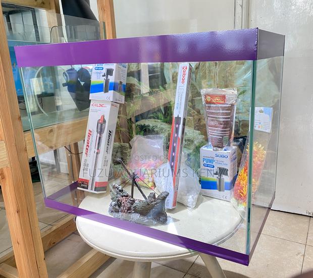 Top-Tier Aquarium for Peaceful Vibes - main view