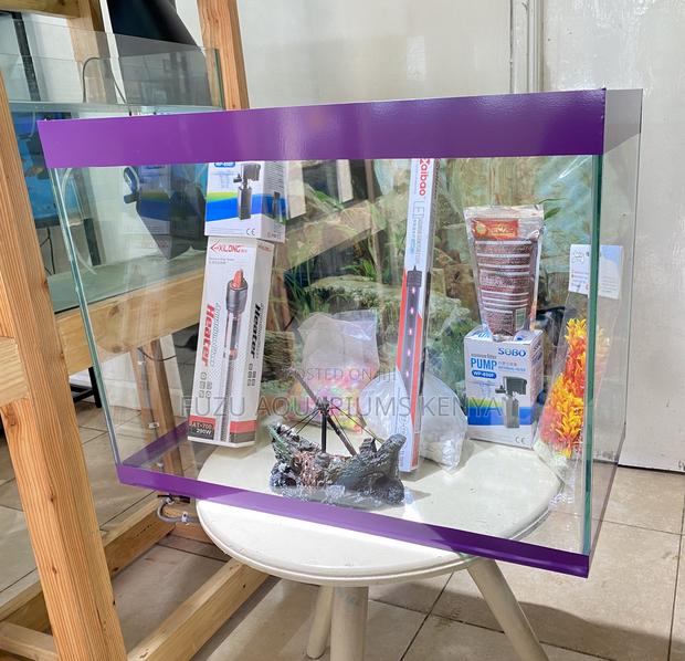 Stunning Aquarium With Led Lights - main view