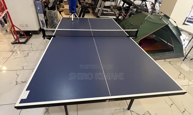 Ping Pong Table Tennis Awaits - thumbnail 2