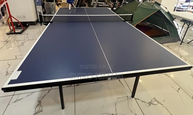 Ping Pong Table Tennis Awaits