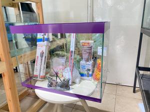 Aquarium With All Accessories – Plug Play - thumbnail 2