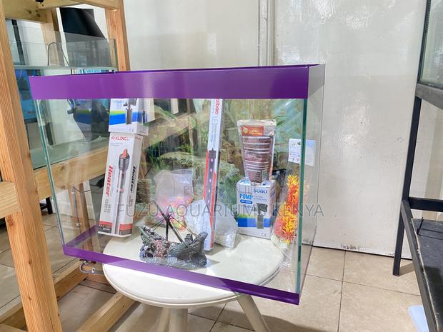 Aquarium With All Accessories – Plug Play - main view