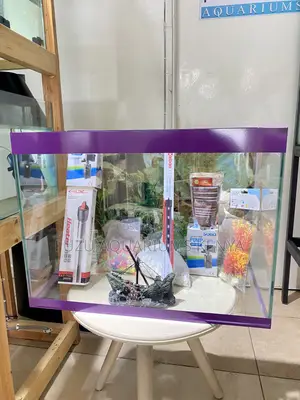 Beautiful 2ft Aquarium With Background Decor