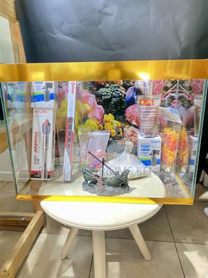 Make a Statement With Our 60l Aquarium - thumbnail 2