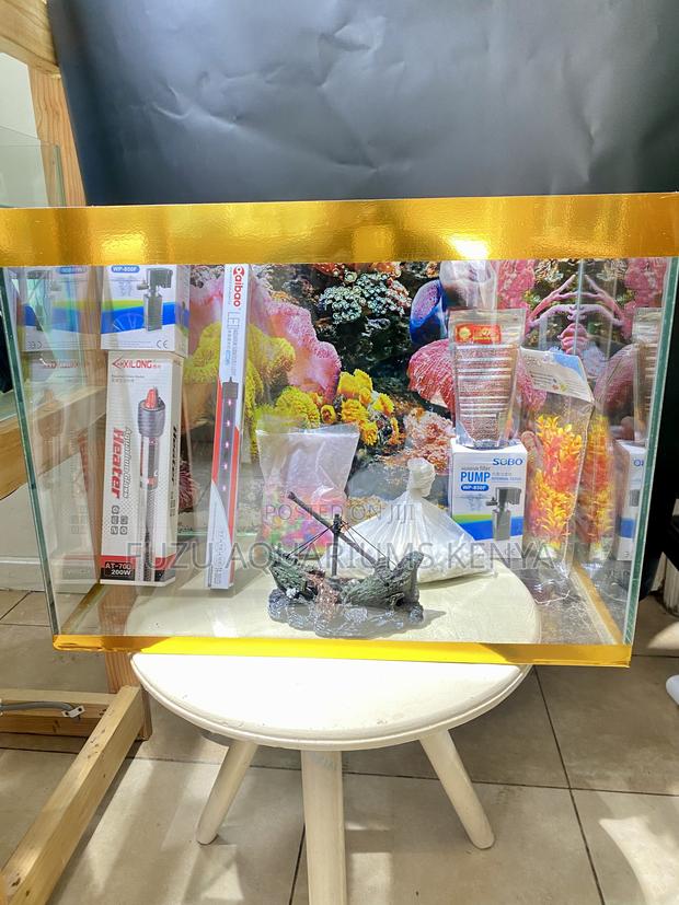 Make a Statement With Our 60l Aquarium - main view