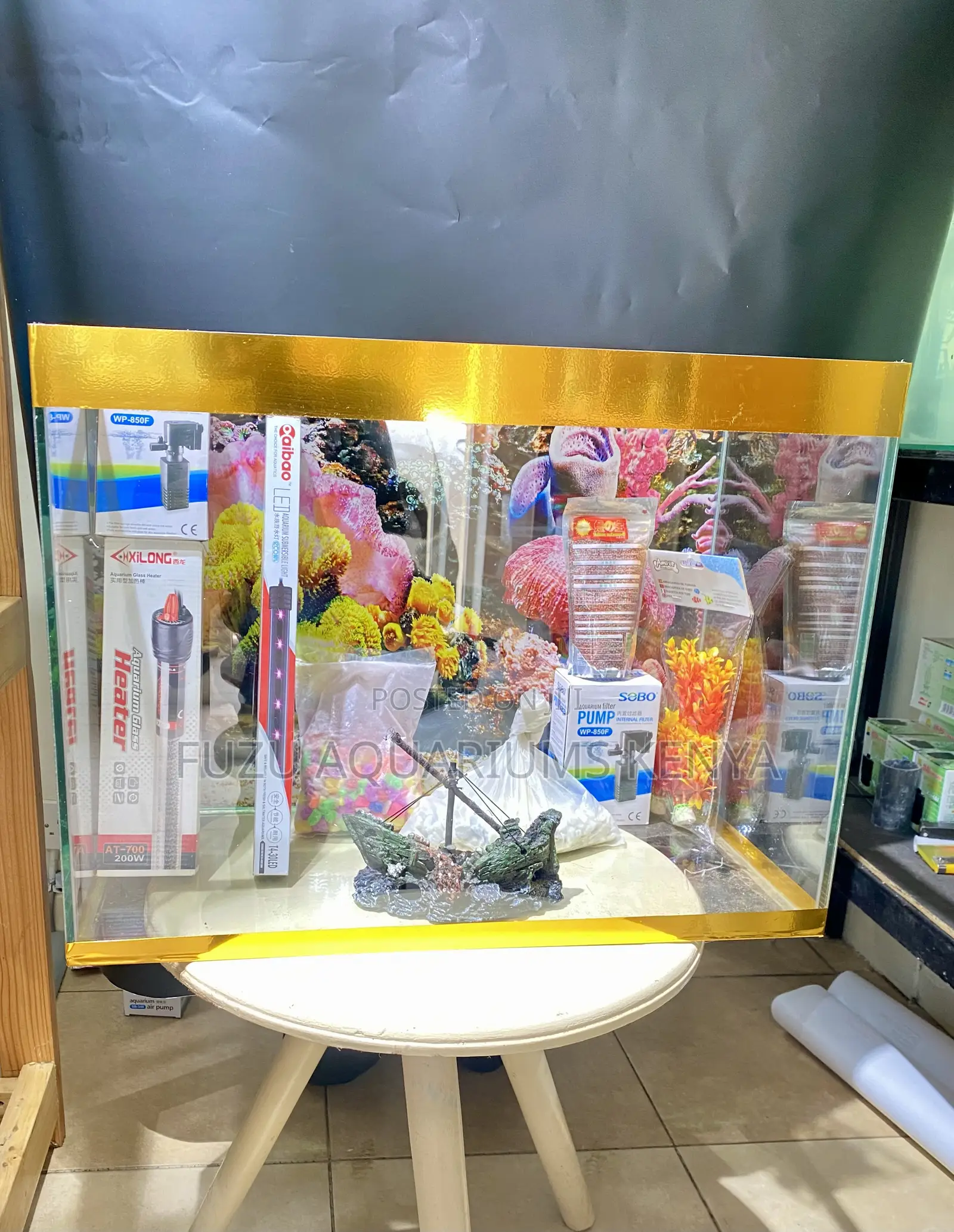 Affordable Aquarium for Home Office Décor