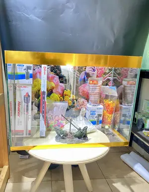 Affordable Aquarium for Home Office Décor