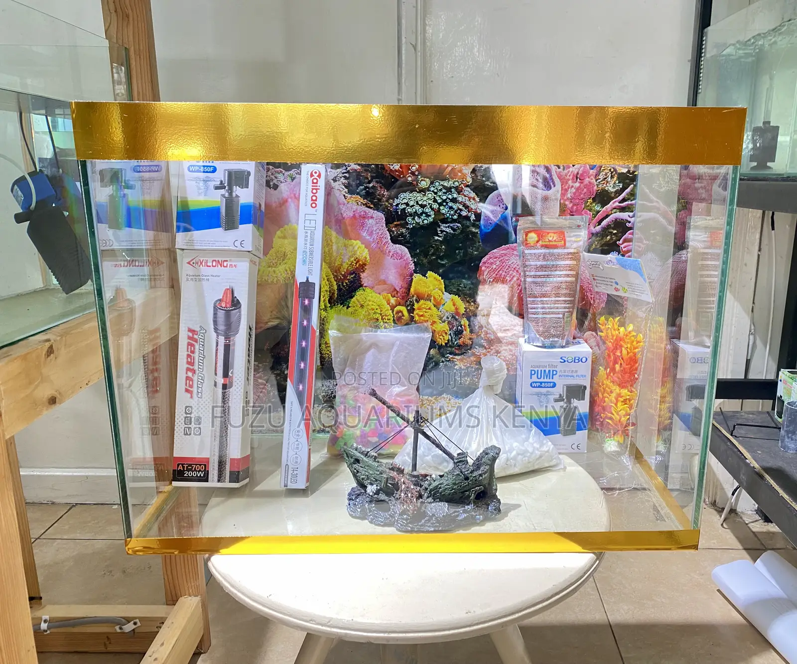 Clean-Lined 2ft Aquarium With Natural Feel