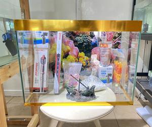 Clean-Lined 2ft Aquarium With Natural Feel - thumbnail 2