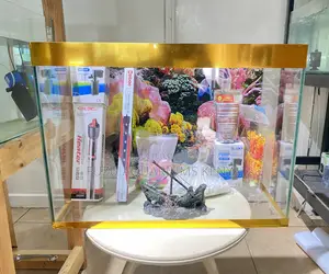 Clean-Lined 2ft Aquarium With Natural Feel